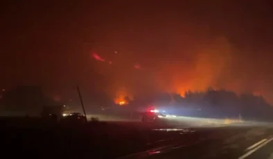 Bursa Karacabey’de orman yangını! Rüzgarın etkisiyle büyüyor