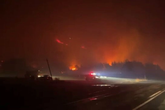 Bursa Karacabey’de orman yangını! Rüzgarın etkisiyle büyüyor