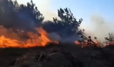 Eğerce ve Söğütpınar arasındaki yangın kontrol altında