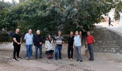 Mudanya’da 25 yıllık ağaçlar trafo için kesiliyor iddiası!