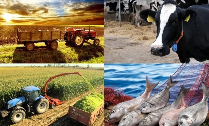 Hayvancılık destekleme miktarlarında artış!