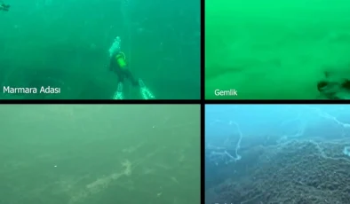 Marmara Denizi’nde müsilaj alarmı! Prof. Dr. Mustafa Sarı’dan acil çağrı