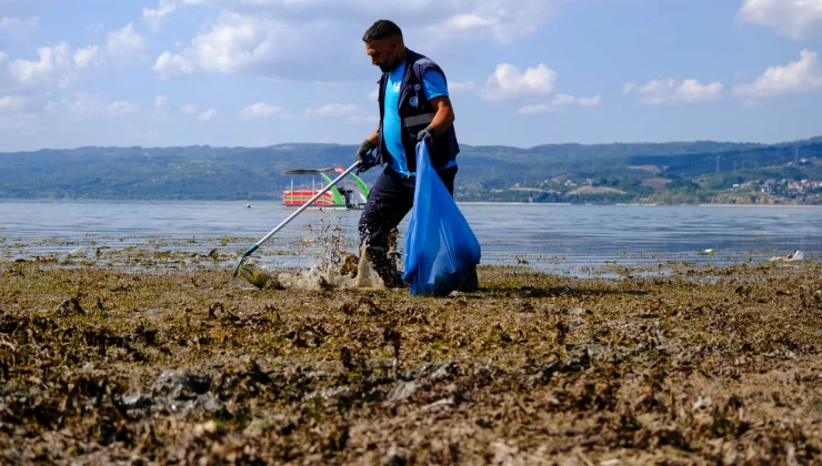 Sapanca çevresinden 2 ton çöp çıktı