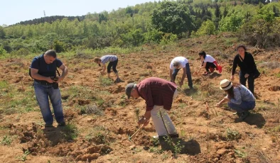 ÇEKÜL’den fidan dikimi için ‘acele etmeyin’ uyarısı!