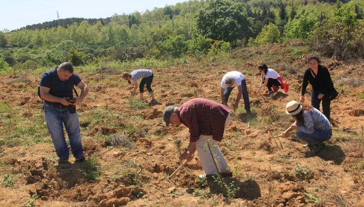 ÇEKÜL’den fidan dikimi için ‘acele etmeyin’ uyarısı!