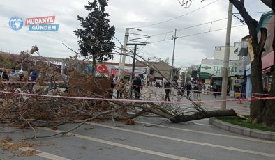 Bursa’yı lodos vurdu! Ekipler sahada