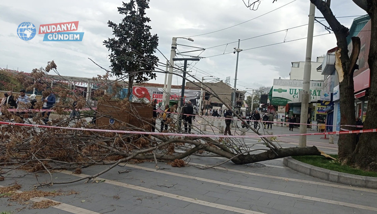 Bursa’yı lodos vurdu! Ekipler sahada