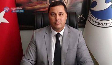 Mudanya Zeytin Kooperatifi ürün alım tarihini açıkladı