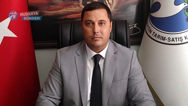 Mudanya Zeytin Kooperatifi ürün alım tarihini açıkladı