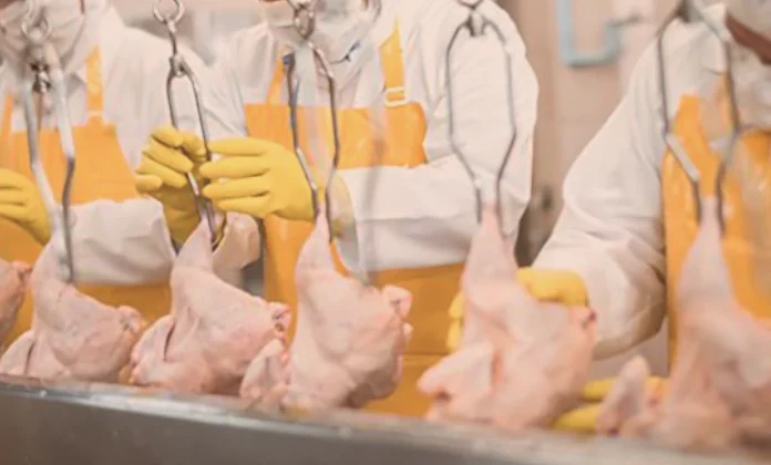 Filipinler’e kanatlı eti ve su ürünleri yolu açıldı