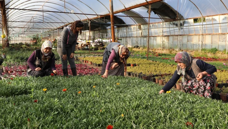 Muğla’da kadın emeğiyle gelecek inşa ediliyor