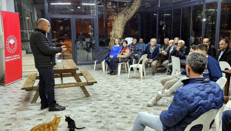 Kaymakoba’da üreticilere zeytin ve incirde doğru tarım eğitimi