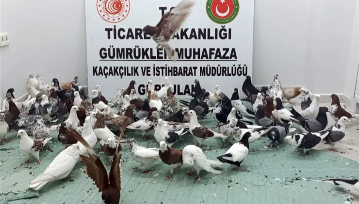 Ticaret’te ‘kanatlı’ operasyon!