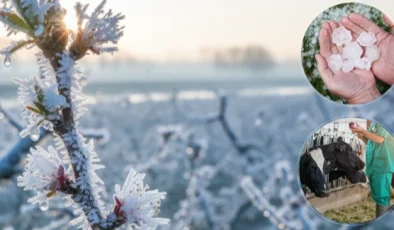 Üreticilere Ekim’de 11,6 milyar TL hasar tazminatı ödendi