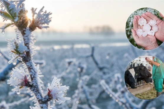 Üreticilere Ekim’de 11,6 milyar TL hasar tazminatı ödendi