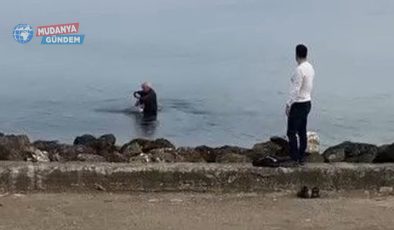 Güzelyalı’da oltaya takılan martıyı vatandaş kurtardı