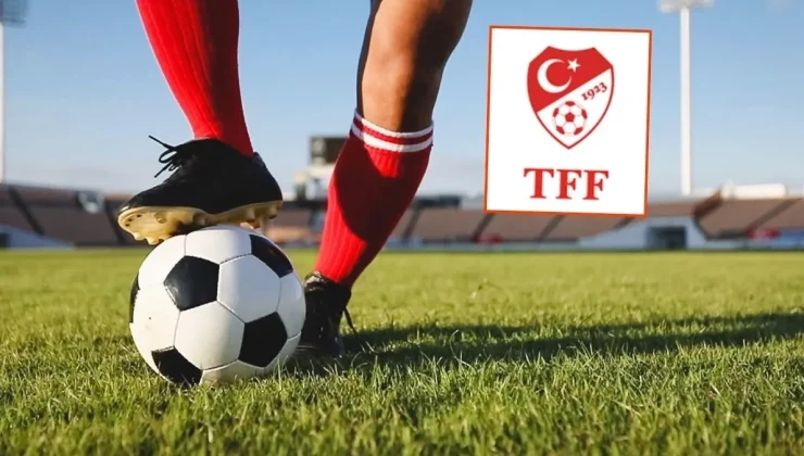 PFDK’dan 2. Lig’de 282 futbolcuya ceza yağdı