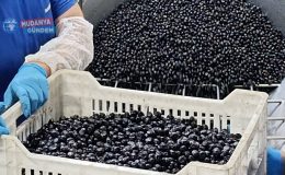 Marmarabirlik’te üçüncü dilim ödemeler hesaplarda