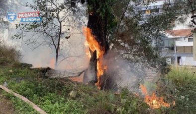 Güzelyalı Burgaz’da çamlık alanda korkutan yangın!
