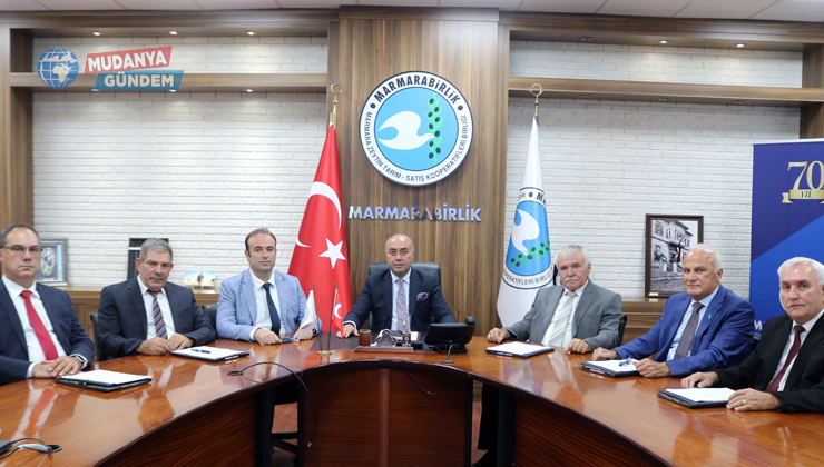 Zeytin üreticisine 1,2 milyar TL’lik dev ayni kredi limiti