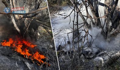 Aydınpınar’da orman yangını korkuttu!