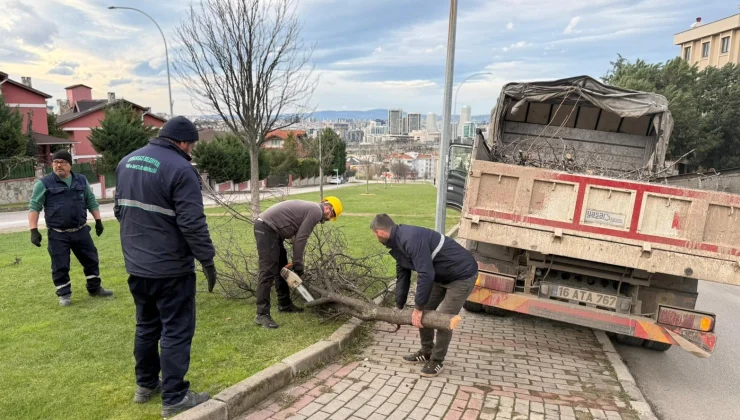 Bursa’da şiddetli lodosun devirdiği ağaçlara Osmangazi’den anında müdahale