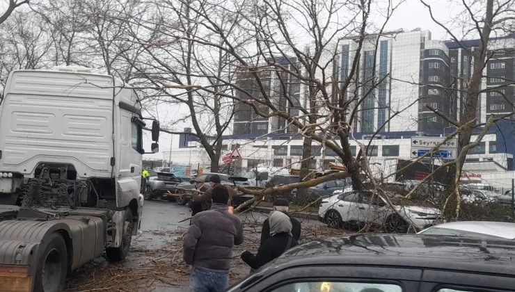 İstanbul’da fırtına: Ağaç devrildi, sahil yolları kapandı!