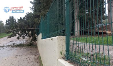 Mürsel’de şiddetli lodos hasara yol açtı