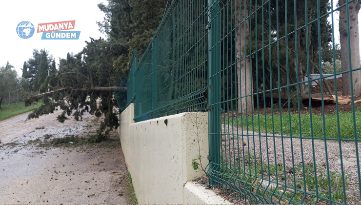 Mürsel’de şiddetli lodos hasara yol açtı