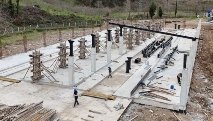 Ordu’da Fatsa’ya tarım ve hayvancılıkta dev yatırım