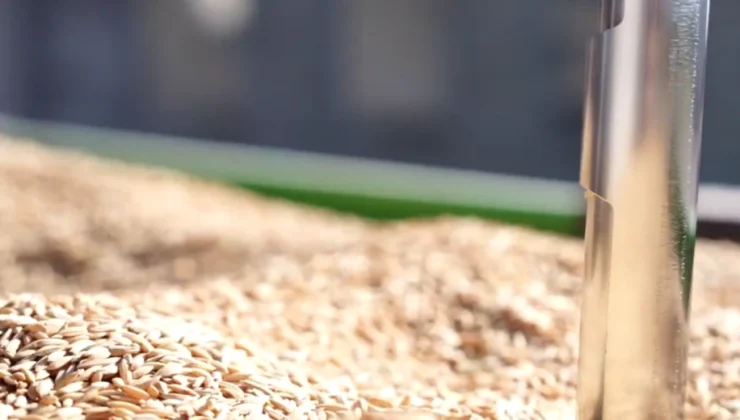 TMO’da çeltik alımları sürüyor