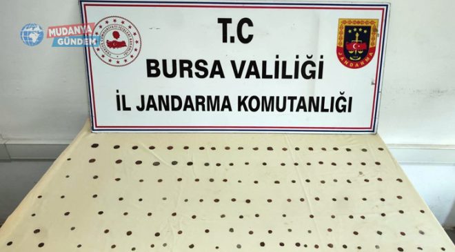 Bademli’de Anadolu Miras Operasyonu… 137 sikke ele geçirildi