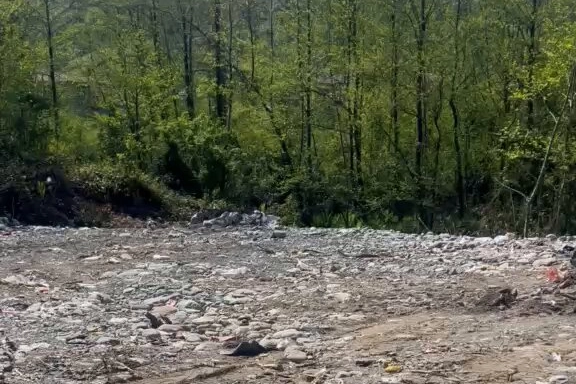Rize’de vahşi depolamaya milyonluk ceza!