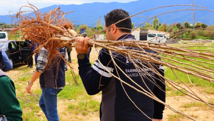 Üreticiye çifte destek