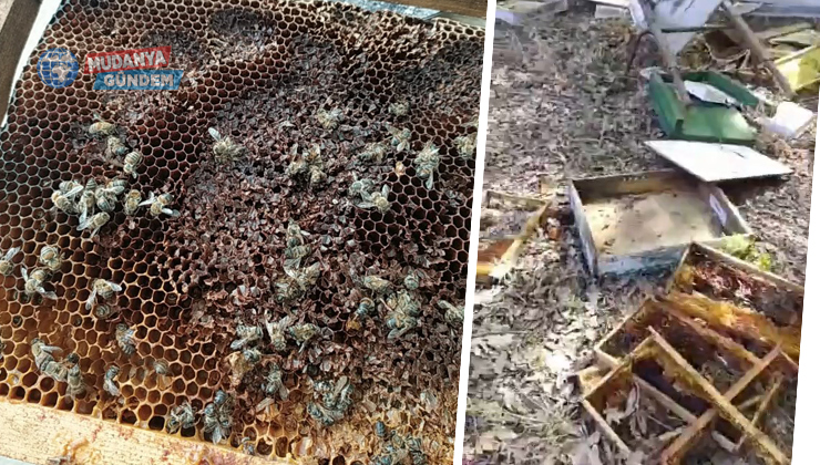 Mudanya kırsalında 28 arı kovanı parçalandı!