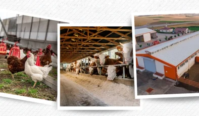 IPARD III sonuçları açıklandı… 218 projeye 2,5 milyar TL hibe
