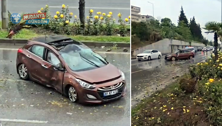 Takla atan otomobil ağacı yerinden söktü: 1 yaralı
