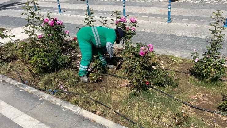 Muğla Milas’ta bayram öncesi bakım