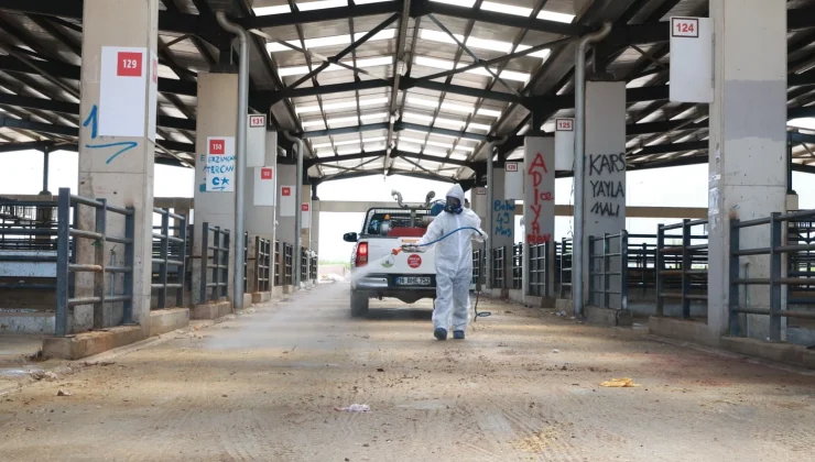 Osmangazi’de kurban pazarları ilaçlanarak dezenfekte edildi