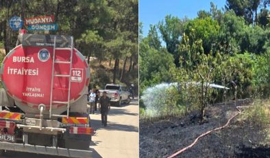 Göynüklü’deki bahçe yangını 4 dönümlük zarara yol açtı