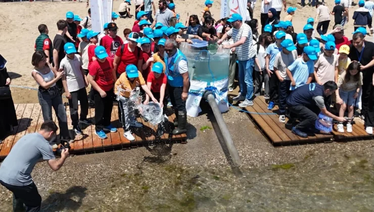 İzmit Körfezi’ne 100 yapay resif ve 6 bin balık bırakıldı