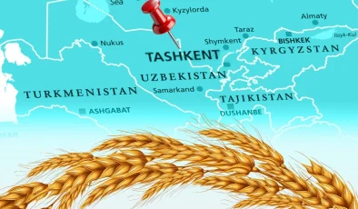 Türkiye un ihracatında 12. şampiyonluk hedefini koydu… Tahıl sektörü Taşkent’te buluşuyor