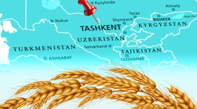 Türkiye un ihracatında 12. şampiyonluk hedefini koydu… Tahıl sektörü Taşkent’te buluşuyor
