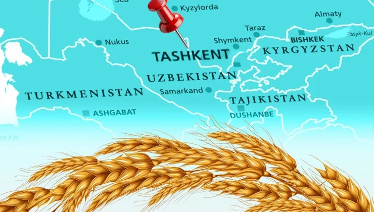 Türkiye un ihracatında 12. şampiyonluk hedefini koydu… Tahıl sektörü Taşkent’te buluşuyor