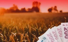 TMO’dan üreticilere 4,2 milyar liralık ürün bedeli ödemesi