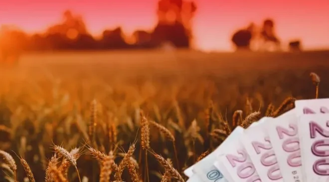 TMO’dan üreticilere 4,2 milyar liralık ürün bedeli ödemesi