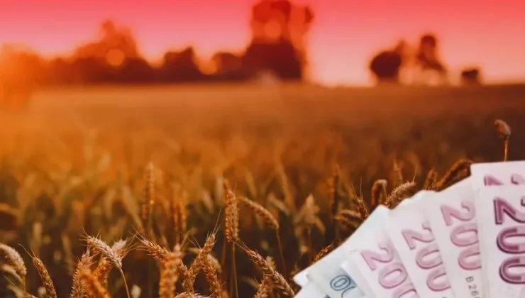 TMO’dan üreticilere 4,2 milyar liralık ürün bedeli ödemesi